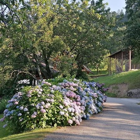 Apartma Na Ravnicah Церкно Екстериор снимка