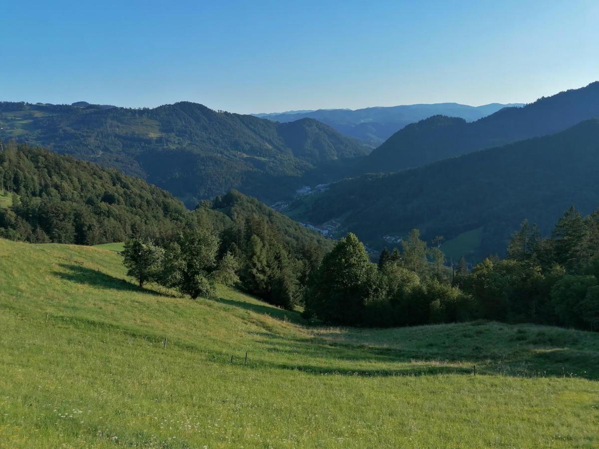 Apartma Na Ravnicah Церкно Екстериор снимка