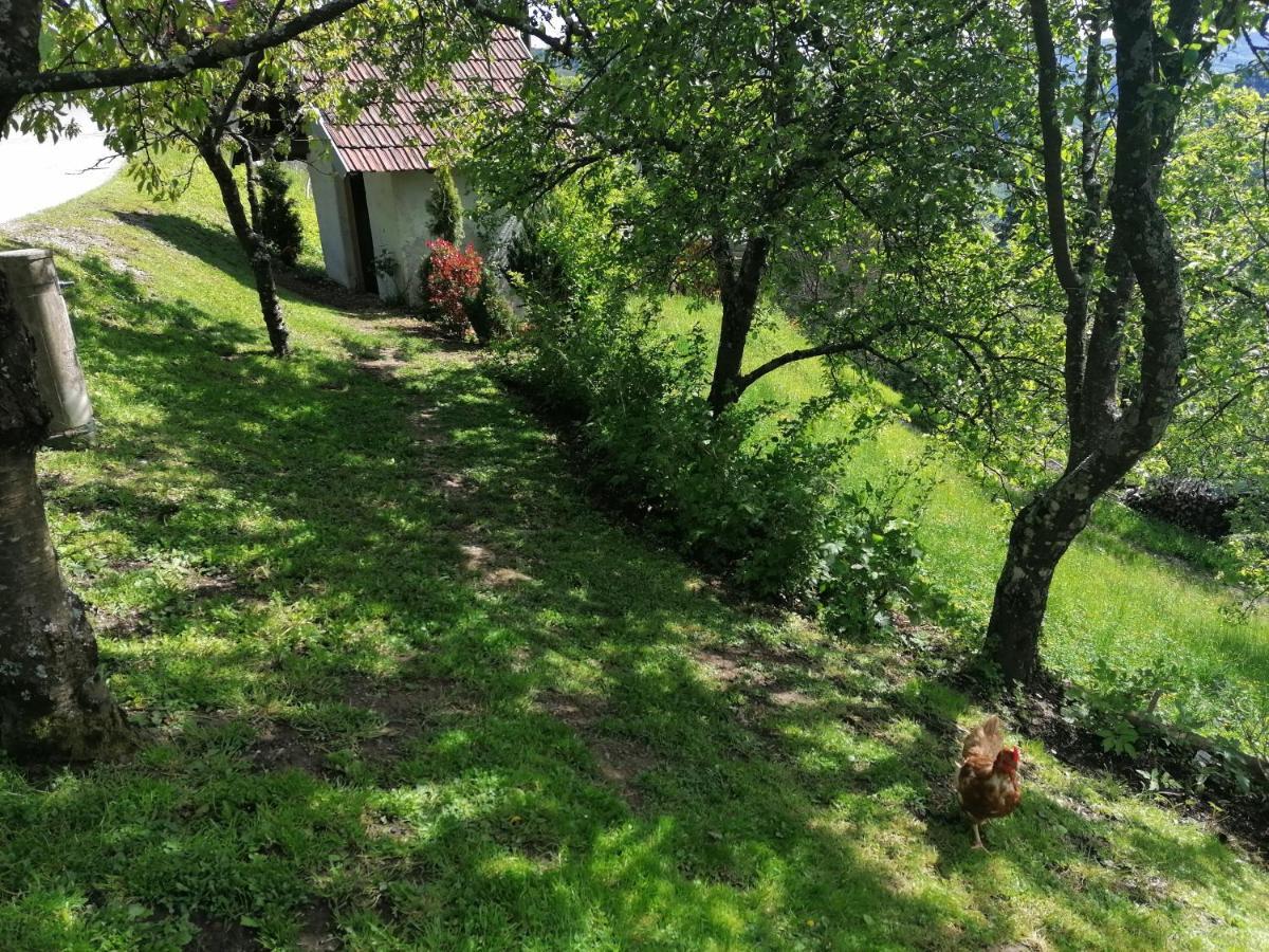 Apartma Na Ravnicah Церкно Екстериор снимка
