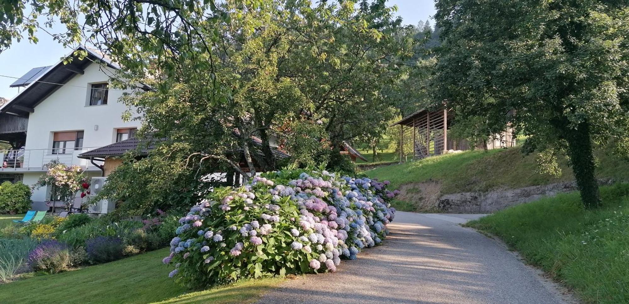 Apartma Na Ravnicah Церкно Екстериор снимка